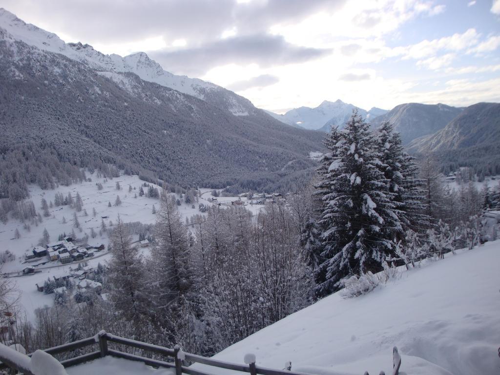 Hotel Alpe Fleurie Champoluc Extérieur photo